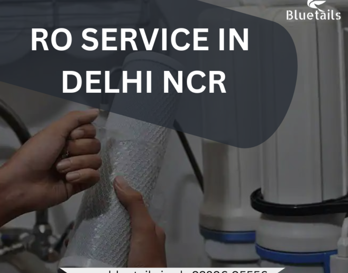 RO Service in Delhi NCR